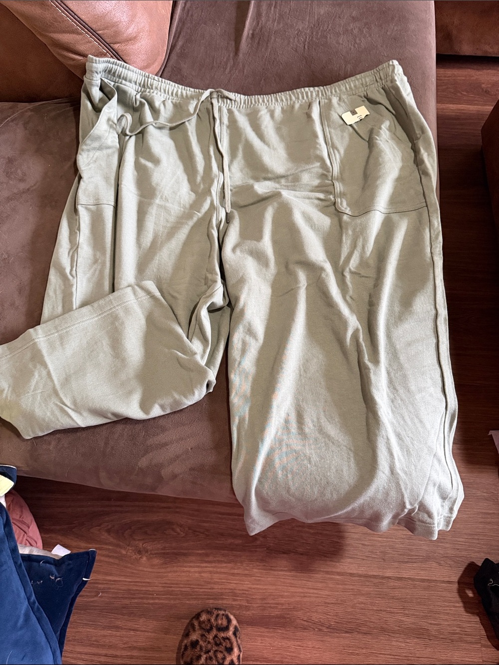 Terra & Sky Olive Drawstring Jogger Pants